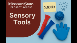 SensoryTools_large.png